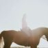 The Physical and Emotional Benefits of Equine Therapy in Utah