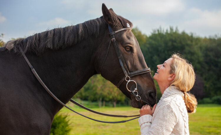 Utah Equine Assisted Therapy - Utah Addiction Centers
